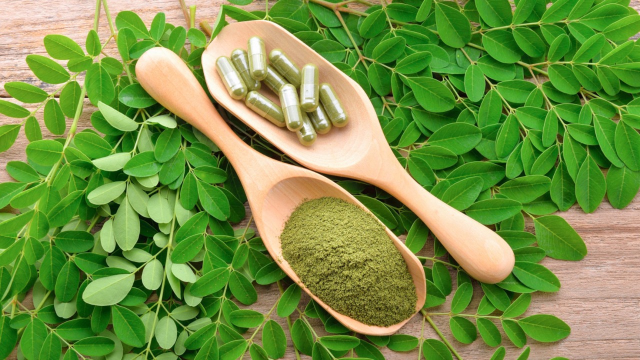 Moringa: la ce se folosește planta cunoscută sub numele de „copacul vieții”?