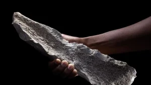 Descoperire istorică: în Anglia a fost descoperit cel mai vechi instrument din os din Europa, cu o vechime de 500 000 de ani.