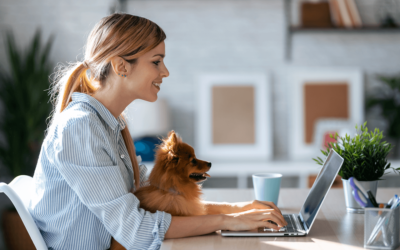 Este oficial | A intrat în vigoare o nouă lege care impune obligații imediate tuturor proprietarilor de animale de companie: despre ce este vorba.