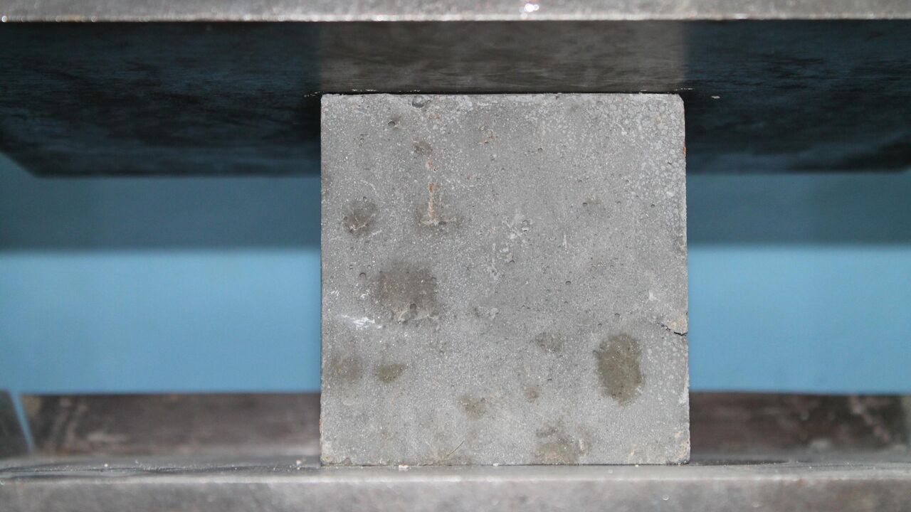 Beton pe bază de scoici marine, distins cu o stea Michelin: beton utilizat pentru refacerea fundului marin.