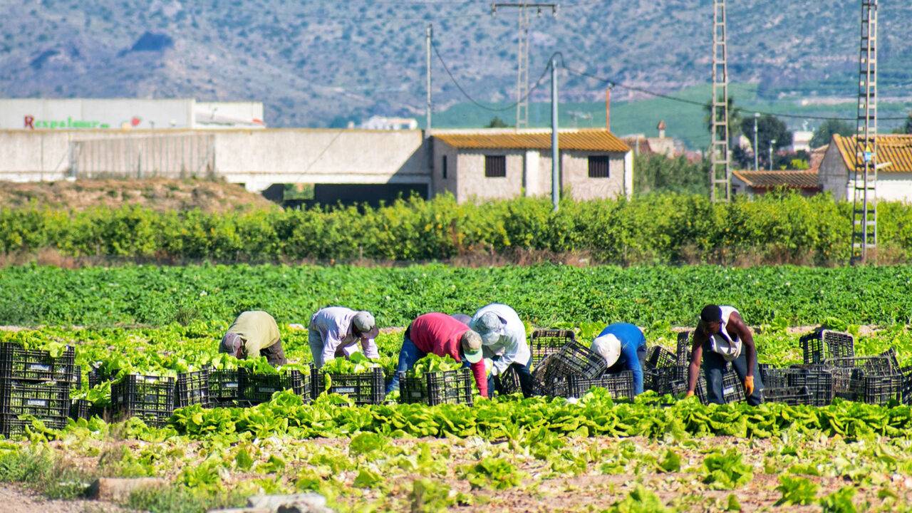 Reforma muncii avansează | Acum, angajații vor avea dreptul să solicite aceste informații tuturor angajatorilor lor.