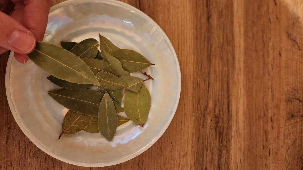 Cum să pui frunze de dafin în cuptorul cu microunde: de ce este necesar și cât de des trebuie făcut acest lucru.