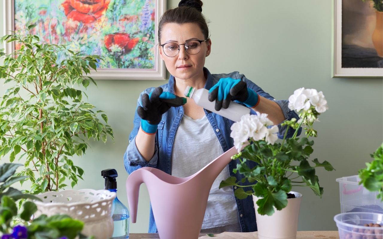 Ghid practic pentru îngrijirea plantelor în timpul caniculei.