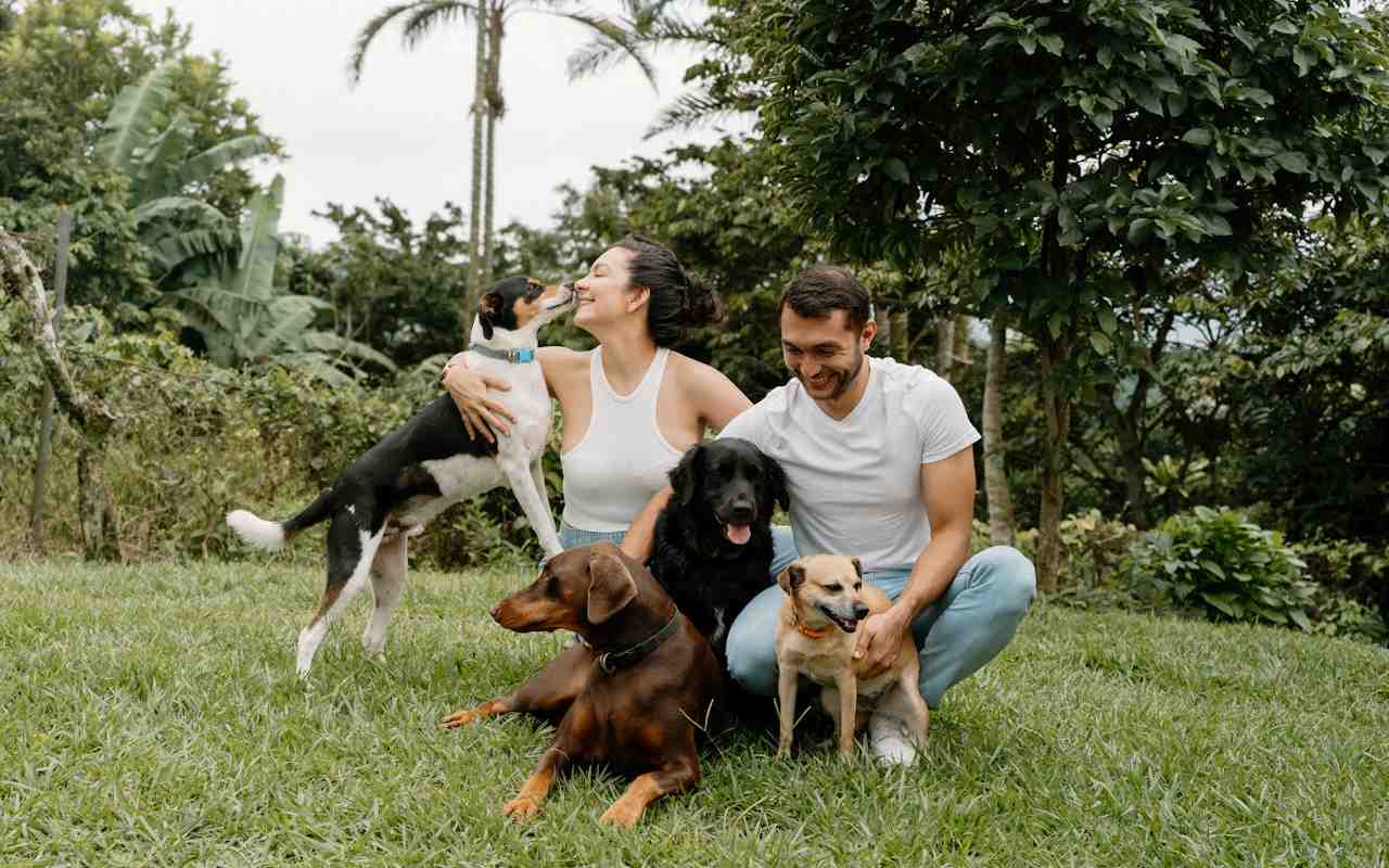 Este oficial | A intrat în vigoare o nouă lege care impune obligații imediate tuturor proprietarilor de animale de companie: despre ce este vorba.