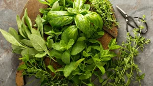 Trei plante aromatice care trebuie semănate în februarie pentru a umple grădina cu un miros plăcut.