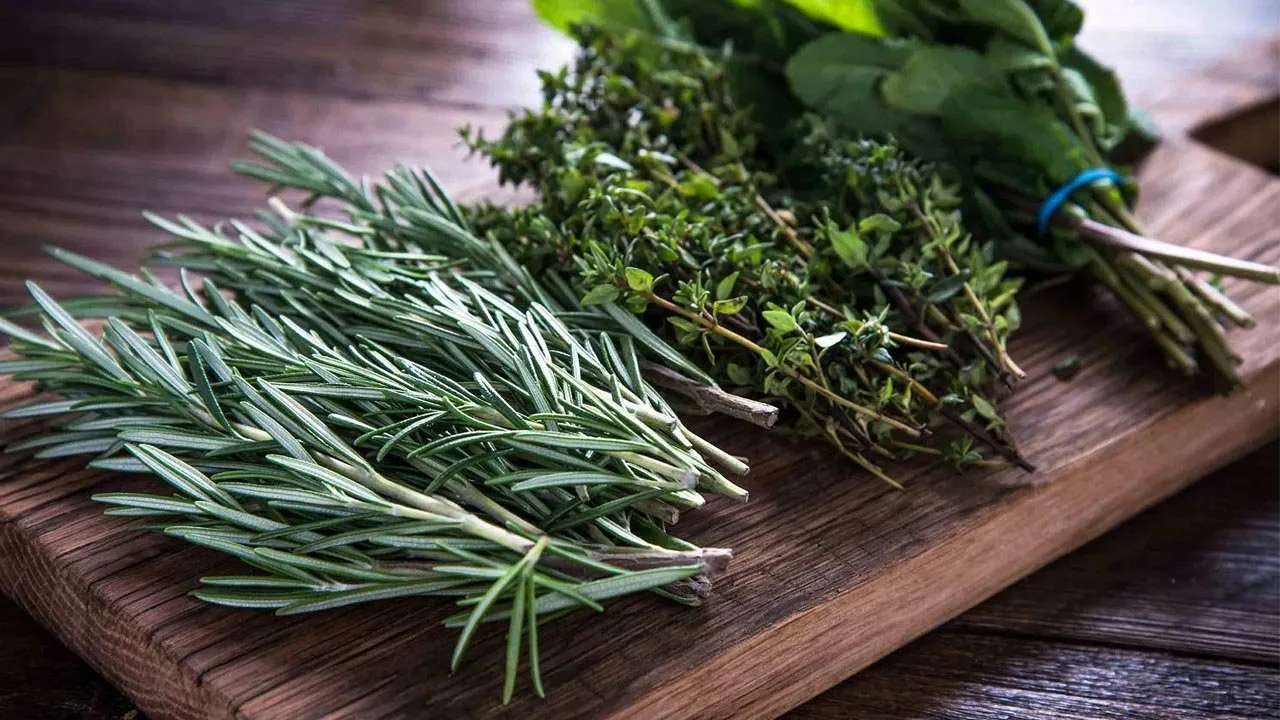 Trei plante aromatice care trebuie semănate în februarie pentru a umple grădina cu un miros plăcut.