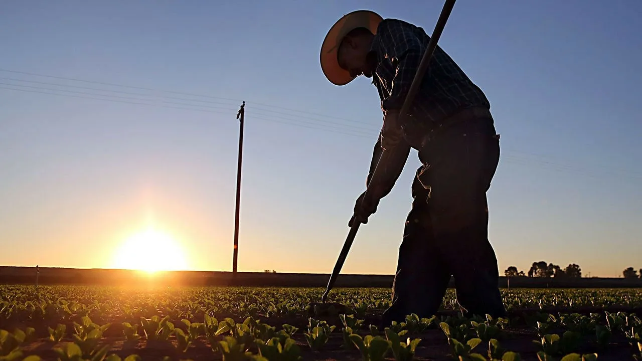 Reforma muncii avansează | Acum, angajații vor avea dreptul să solicite aceste informații tuturor angajatorilor lor.