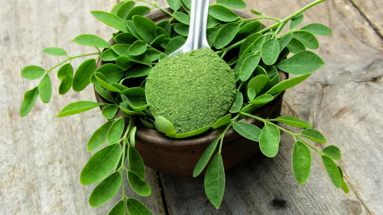 Moringa