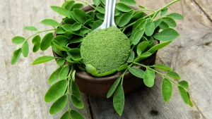 Moringa: la ce se folosește planta cunoscută sub numele de „copacul vieții”?