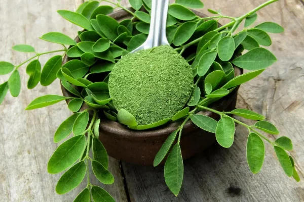 Moringa