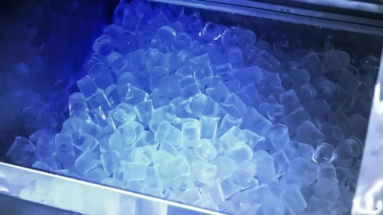 Sunt prieteni din școala primară, au avut o idee unică și astăzi câștigă 50 de milioane de dolari pe lună.