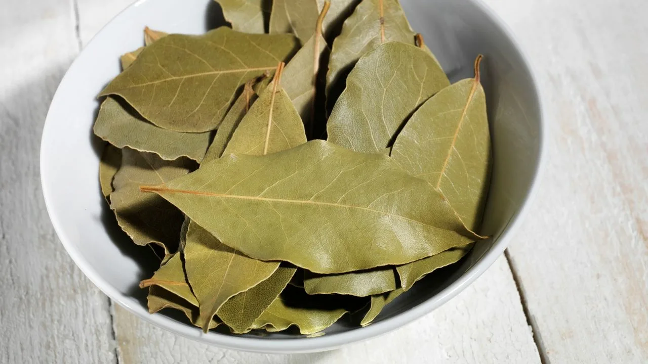Cum să pui frunze de dafin în cuptorul cu microunde: de ce este necesar și cât de des trebuie făcut acest lucru.