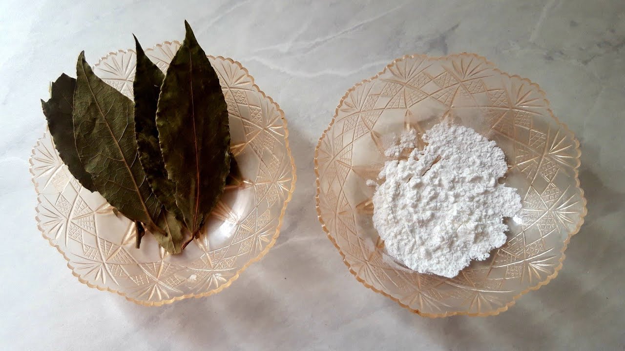 Amestecul de frunze de dafin și detergent: de ce este recomandat și la ce este util.