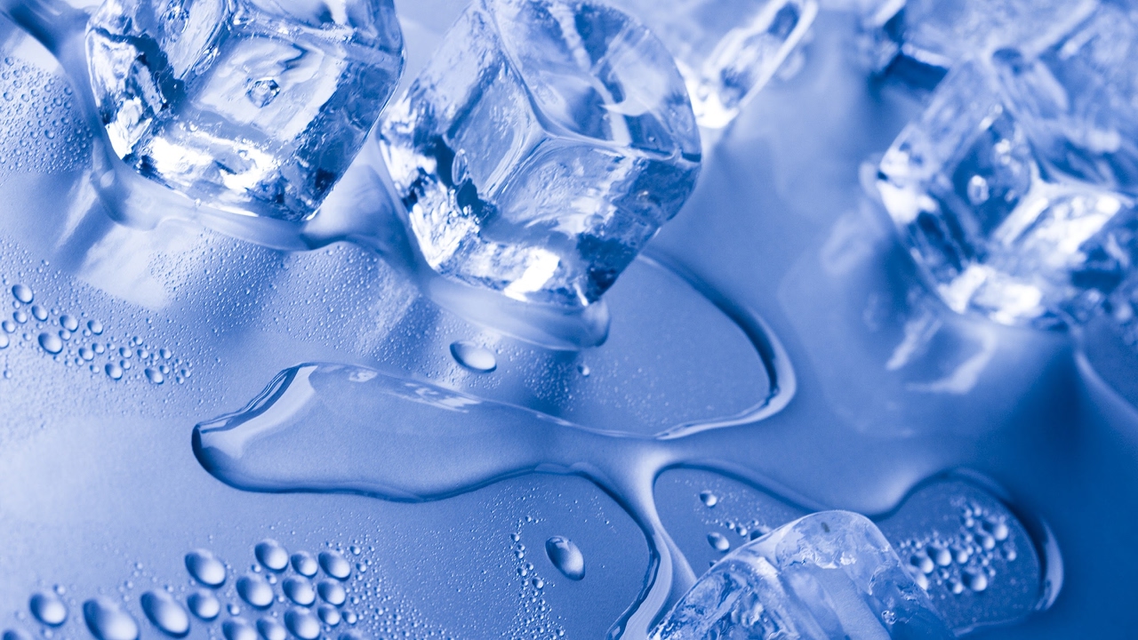 Sunt prieteni din școala primară, au avut o idee unică și astăzi câștigă 50 de milioane de dolari pe lună.