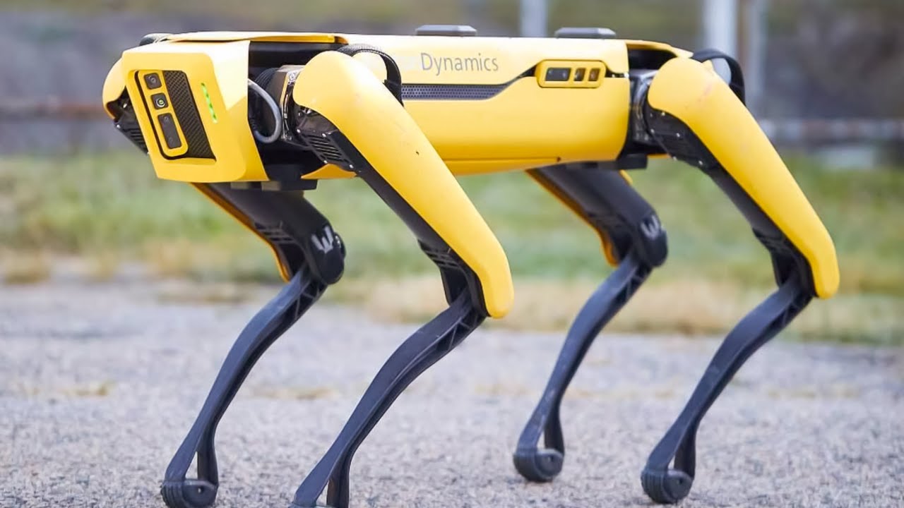 Acestea sunt roboți-câini care vor asigura securitatea în timpul Campionatului Mondial de Fotbal din 2026.