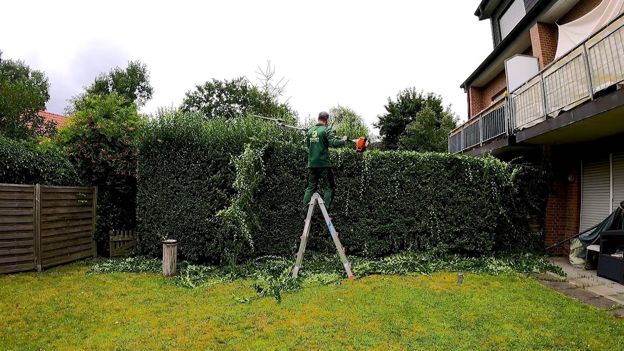 Începând din martie, proprietarii de case ale căror copaci sau garduri vii se află la o distanță mai mică de doi metri sau 50 cm de proprietatea vecină sunt obligați să îi taie, în caz contrar riscând amenzi.