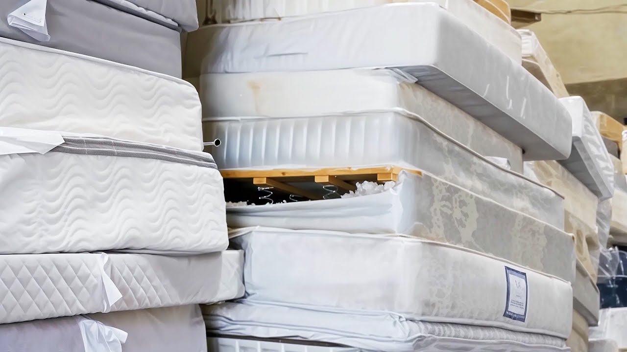 Ei transformă saltelele vechi în izolatori termici cu ajutorul ciupercilor: aceasta este o inovație menită să revoluționeze domeniul construcțiilor ecologice.