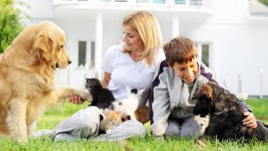 Anunț important din partea medicilor veterinari pentru persoanele care locuiesc împreună cu pisici și copii.