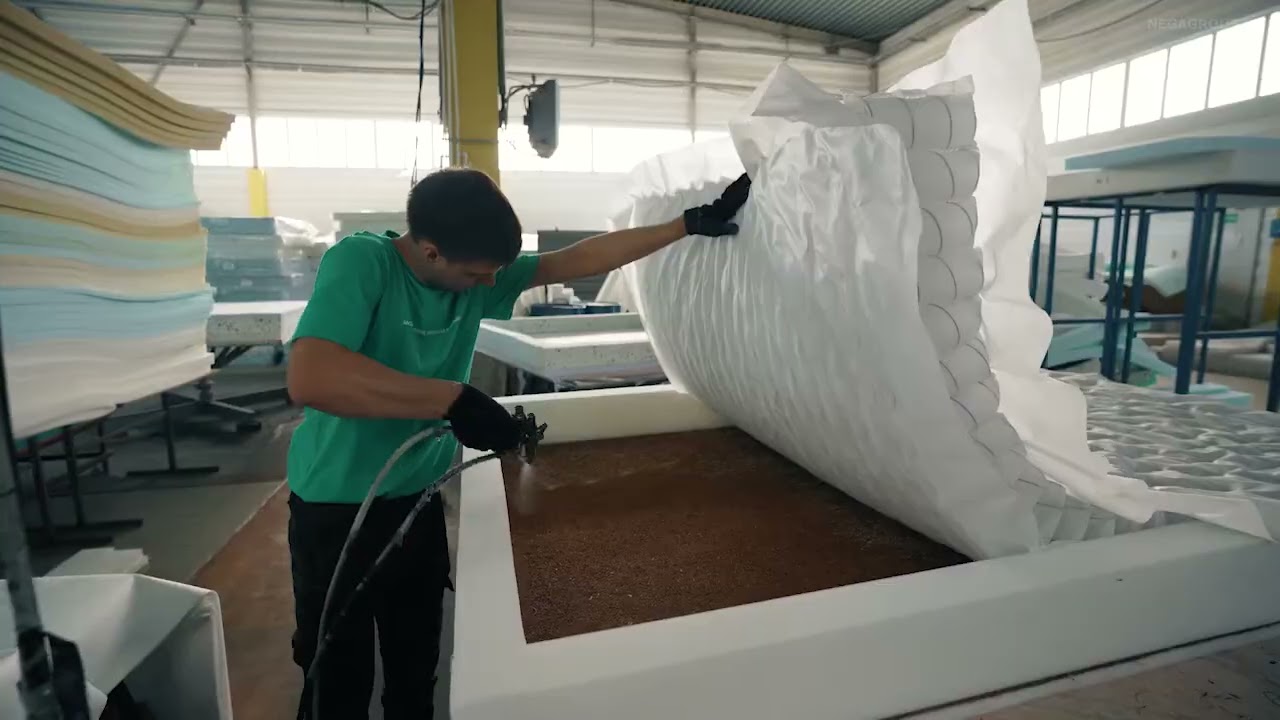 Ei transformă saltelele vechi în izolatori termici cu ajutorul ciupercilor: aceasta este o inovație menită să revoluționeze domeniul construcțiilor ecologice.