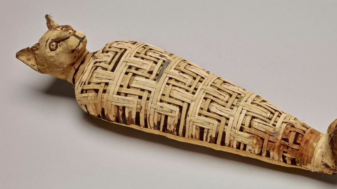 Oare pisicile erau venerate în Egiptul Antic? Ce arată cercetările privind atitudinea față de ele în antichitate?